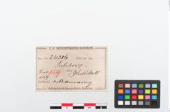Etiketten zu Bronzearmreif (NHMW-PRAE-024206)